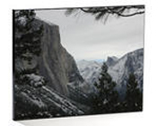 wood photo wall panel